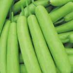 31pjkf+9 wl. ac uf894,1000 ql80