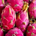 dragon fruits, fresh dragon fruits, pitaya, market, macro, fruits, organic fruits, organic dragon fruits, dragon fruits, dragon fruits, dragon fruits, pitaya, pitaya, pitaya, pitaya, pitaya