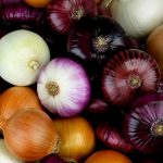 onions, vegetable, ingredients, healthy, flavor, seasoning, harvest