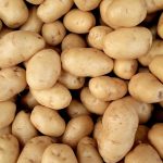 A close-up view of fresh organic potatoes piled together, showcasing natural texture and freshness.