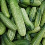 A close-up of fresh green cucumbers piled together, showcasing texture and healthiness.